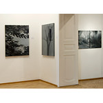 Galerie Hilger Wien 2008